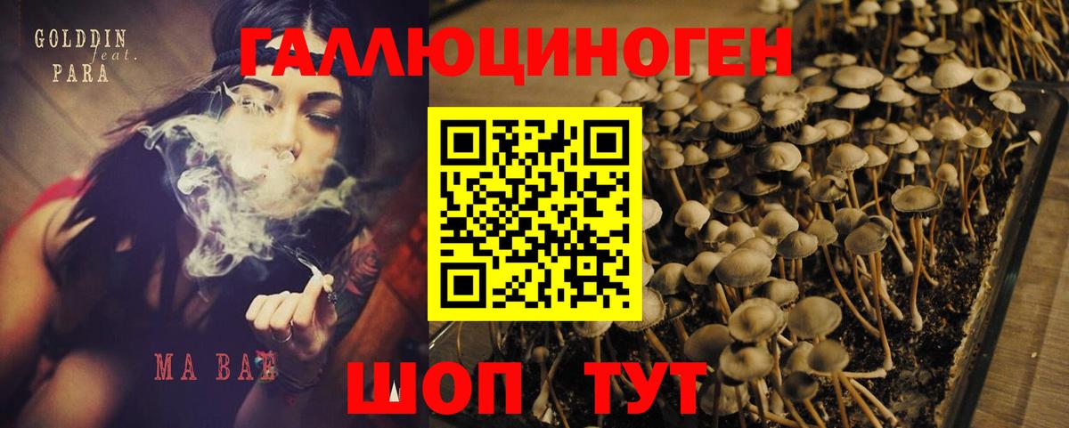 Псилоцибиновые грибы мухоморы Сургут